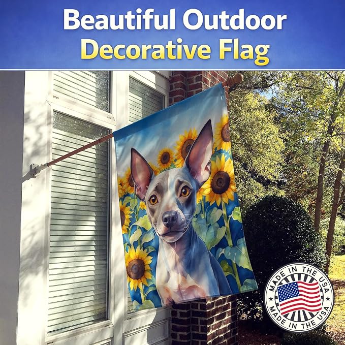 Caroline's Treasures DAC6010CHF American Hairless Terrier in Sunflowers House Flag Large Porch Sleeve Pole Decorative Outside Yard Banner Artwork Wall Hanging, Polyester, House Size, Multicolor