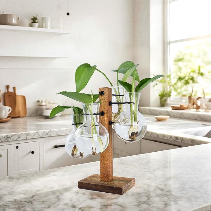 Plant Propagation Station with Acacia Wood Stand and 4 Glass Vases | Propagation Vases for Plants，Plant Stand Indoor，Birthday Gifts for Women,Gifts for Plant Lovers，Home & Garden Decor