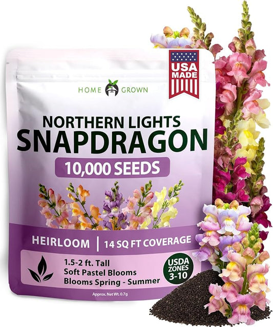 HOME GROWN Snapdragon Northern Lights Seeds, 10,000 Flower Seeds for Planting 2026 Spring, Pastel Garden Blooms of Snap Dragon, Pollinator Friendly Outdoor Cut Flowers (Antirrhinum majus)