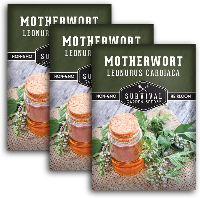 Motherwort Seeds for Planting - Leonurus Cardiaca - Heirloom Medicinal Herb for Apothecary Gardens and Pollinator Support - Survival Garden Seeds (3 Packs)