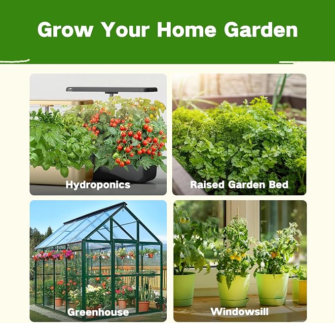 Lush&Dew Companion Plants Heirloom Seed Bank, Gardening Gifts for Women Men | 32 Varieties 30,000+ Non-GMO Vegetable Seeds for Planting in Raised Garden Bed Greenhouse, Survival Seed Kit for Food Supply