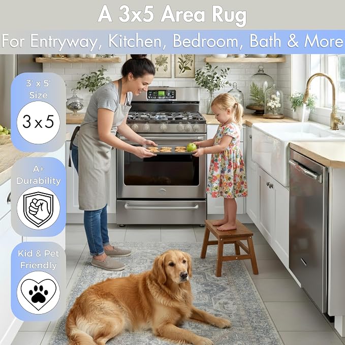Sacred Artisans Vintage 3x5 Area Rug for Entry, Kitchen, Mudroom and Foyer | Washable, Pet Friendly, Durable and Low Pile (Sierra, 3' x 5')