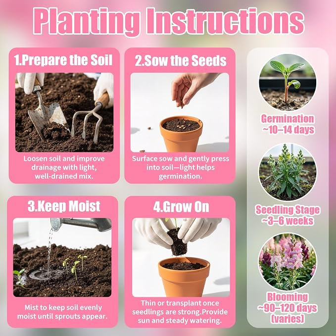 10000+ Snapdragon Seeds Bulk Pack, 5-Color Mixed Snapdragon Flower Seeds for Planting, Antirrhinum Majus Seeds for Borders, Pots, Flower Beds & Cut Flower Gardens, Instructions Included