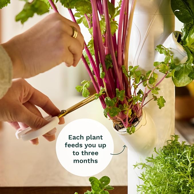 Gardyn Home 4 Vertical Hydroponics Growing System Kit - 30 Plants | AI-Powered Smart Garden with LED Grow Lights. Grow pesticide-free, non-GMO greens & veggies at home—safe, recall-free