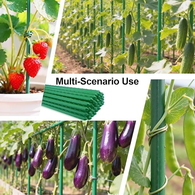Garden Stakes 2.5FT 30pcs, Plastic Coated Steel Stakes Specifically Designed for Climbing Plants, Ideal for Tomatoes, Beans, Cucumbers, Peppers, Vines, and More Plant Growth