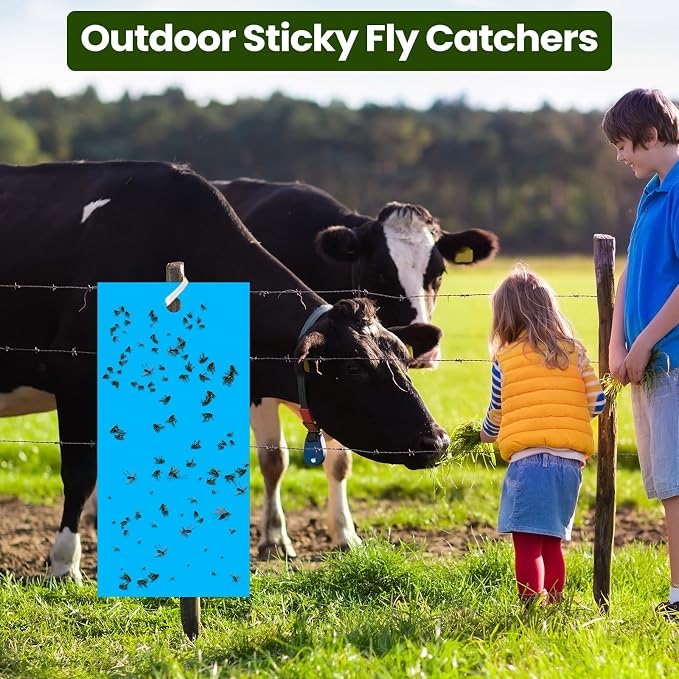 Qualirey 100 Pcs 7.87 x 3.9 Inch Blue Sticky Traps for Thrips Double Sided Sticky Trap for Gnats Plant,Thrips, Aphids, and Black Flies with Twist Ties,Indoor and Outdoor