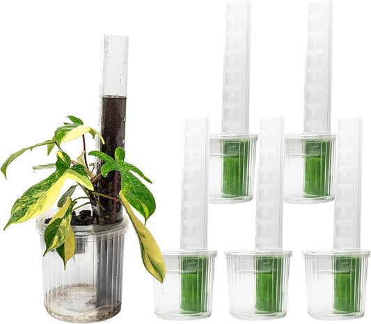 THICCLY Medium GrowLid 5 Pcs (Clear) - Self Watering Clear D-Shaped Plastic Moss Pole Hydroponics Growing System Kratky Hydroponic Kit Moss Pole Monstera Plant Support Philodendron and Anthuriums