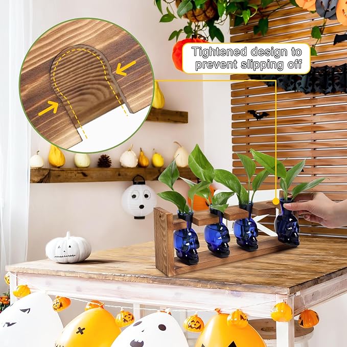 Plant Propagation Stations Halloween Skull Plant Terrarium Kit | Glass Vases Gift for Father Air Planter Home Office Decor