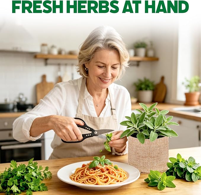 12 Herb Garden Kit - Indoor Herbs Seeds Growing Kit Gardening Gift Birthday Housewarming Christmas Gift for Women Her Men, Complete Starter Set for Beginner