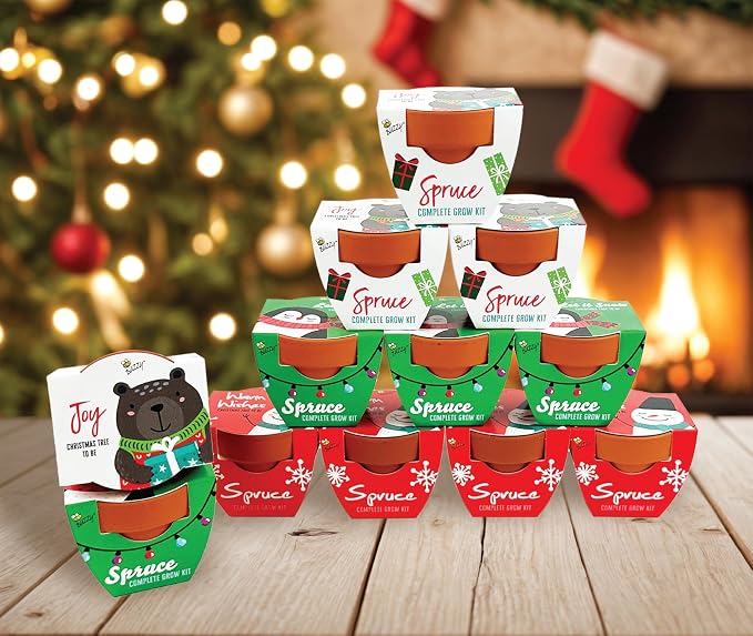 BUZZY Seeds Holiday Mini Spruce Grow Kit 12-Pack - Mini Terracotta Pot Grow Set - Complete Indoor/Outdoor Gardening Kit with Seeds, Coconut Husk Growing Medium & Genuine Pots - 100% Grow Guarantee