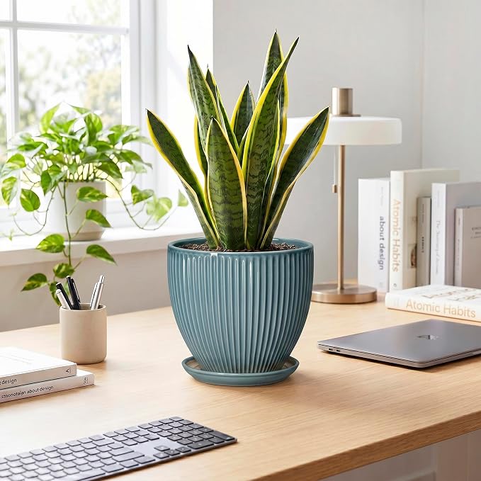Ceramic Planter, 8 Inch Plant Pot Indoor with Drainage Hole and Saucer, Decorative Planters for Indoor Plants, Modern Flower Pots, Round Planter, Room Decor, Gifts for Plant Lovers, Glaze Blue