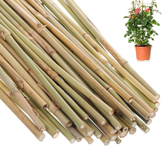 Suclain 30 Pcs Bamboo Plant Stakes Natural Garden Support Sticks for Climbing Plants Sturdy Bamboo Garden Stakes for Tomato, Beans, Flowers and Potted Plants, Vegetables, Indoor & Outdoor (1 ft)