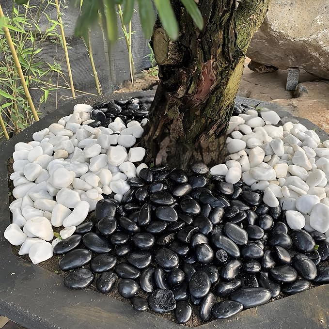 FANTIAN 20 lbs Large Black River Rocks for Garden, 2-3 inch Polished Pebbles for Plants. Decorative Stones for Planters Landscaping Vase Aquarium and Fish Tank