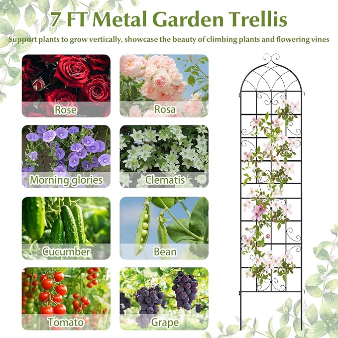 Giantex 4 Packs 86"x20" Metal Garden Trellis for Outdoor Climbing Plants, Heavy-Duty Plant Support for Vine Rose Vegetable Flower, Rustproof Black Metal Coating Patio Trellis Arch Decorative Fence