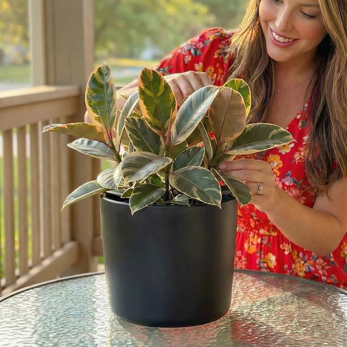 Willowy 9 Inch Black Ceramic Plant Pot with Drainage - 9 Inch Plant Pot for Indoor Plants, Flower Planter, Tall Modern Planter
