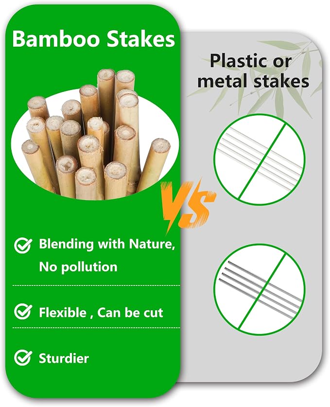 Natural Bamboo Plant Stake（6FT 15Pcs） Sturdy Bamboo Poles, Durable Plant Bamboo Stake, Garden Climbing Plant Bracket.