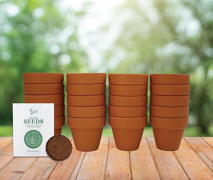 BUZZY Seeds Daisy Grow Kit, Bulk 20-Pack - Mini Terracotta Pot Grow Set - Complete Indoor/Outdoor Gardening Kit with Seeds, Coconut Husk Growing Medium & Genuine Pots - 100% Grow Guarantee
