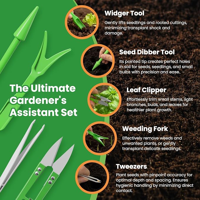 7 Variety Mix Lettuce Seeds - 7000+ Heirloom Lettuce Seeds for Planting Including Romaine, Butter Lettuce, Iceberg Lettuce, etc - Outdoor Hydroponics Gardens Fresh Leafy Green Vegetables Easy to Grow