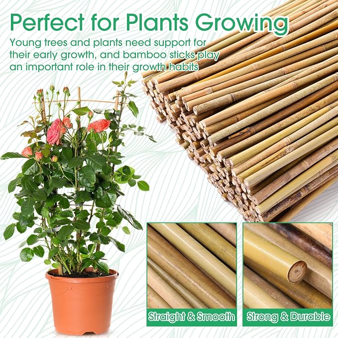 Suclain 300 Pcs Bamboo Plant Stakes Natural Garden Support Sticks for Climbing Plants Sturdy Bamboo Garden Stakes for Tomato, Beans, Flowers and Potted Plants, Vegetables, Indoor & Outdoor (2 ft)