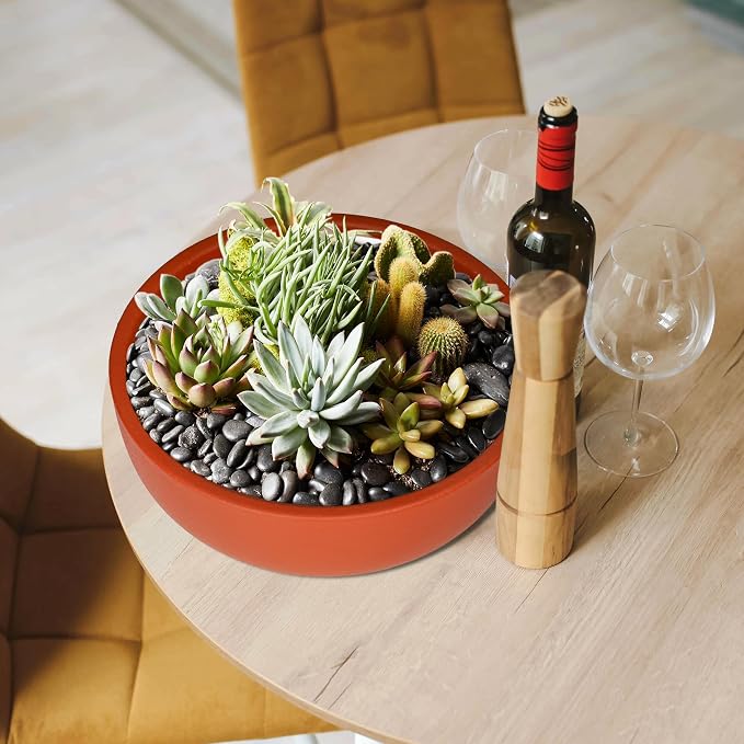 SQOWL 10 Inch Large Terracotta Planter Pot,Clay Succulent Bonsai Planter with Drainage Hole and Bamboo Saucer for Indoor Plants