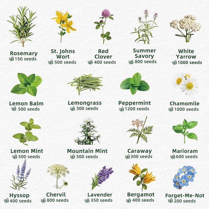 35 Medicinal & Tea Herb Seeds Variety Pack, 18,800+ Premium Garden Seed Vault Kit, Pollinator Friendly, Indoor & Outdoor Year-Round Planting, Lavender, Basil, Cilantro, Peppermint, Chamomile & More