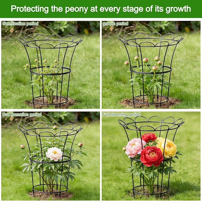 Heavy Duty Peony Cage and Supports - 26" Cast Iron Plant Support for Outdoor Plants, Perfect for Roses and Climbing Vines, Durable Rust-Resistant Design, Quick Assembly Flower Ring Stakes