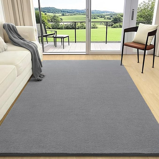 AROGAN 4x6 Area Rugs for Living Room Non Slip Dorm Bedroom Rug, Grey | Modern Area Rugs with Soft Memory Foam, Minimalist Washable Indoor Floor Carpet for Dining Room Office Kids Playroom Decor
