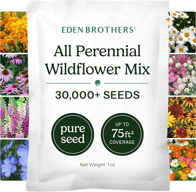 Eden Brothers All Perennial Wildflower Mixed Seeds for Planting, 1 oz, Seeds with Lupine, Shasta Daisy | Attracts Pollinators, Plant in Spring or Fall, for Zones 3, 4, 5, 6, 7, 8, 9, 10