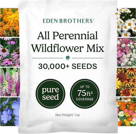 Eden Brothers All Perennial Wildflower Mixed Seeds for Planting, 1 oz, Seeds with Lupine, Shasta Daisy | Attracts Pollinators, Plant in Spring or Fall, for Zones 3, 4, 5, 6, 7, 8, 9, 10