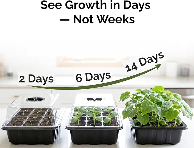 Seed Starter Kit with Humidity Dome – 12-Cell Indoor Pre-Seeded Seed Starting Tray with Basil & Microgreens – Complete Growing Kit with Seeds Included