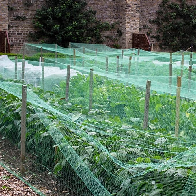 Bird Netting 50'x50' with 1" Square Mesh Garden Netting for Chicken Coop, Aviary, Deer Fence, Fruit Tree