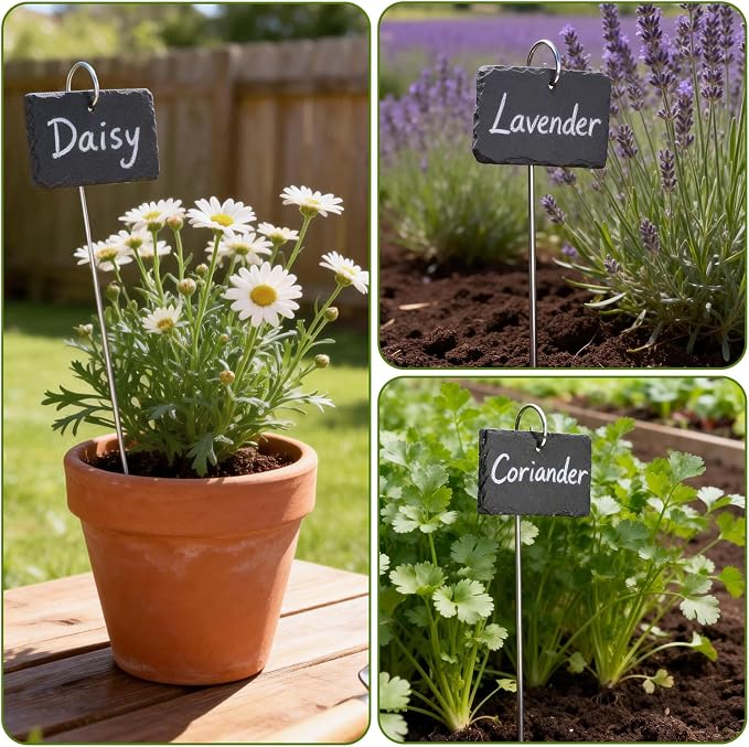 KINGLAKE Large Slate Plant Labels - 10 Pcs Slate Garden Plant Labels Tags with Metal Stakes and Chalk Pencils Tall Garden Plants Markers Signs for Outdoor Plants Vegetables Herb Flower Bed Pots