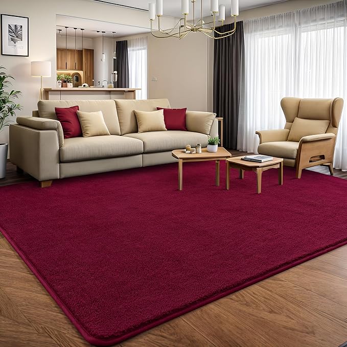 AROGAN 4x6 Area Rugs for Living Room Non Slip Dorm Bedroom Rug, Wine Red | Modern Area Rugs with Soft Memory Foam, Minimalist Washable Indoor Floor Carpet for Dining Room Office Kids Playroom Decor
