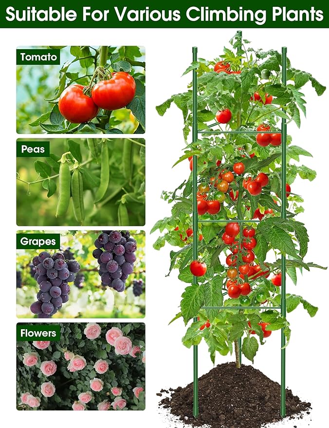 Tomato Cages, 3 Pack 51.2inch Adjustable Tomato Plant Support - Rust-Proof Tool-Free Triangle Trellis for Garden Climbing Plants, Raised Bed & Pots Plant Stakes