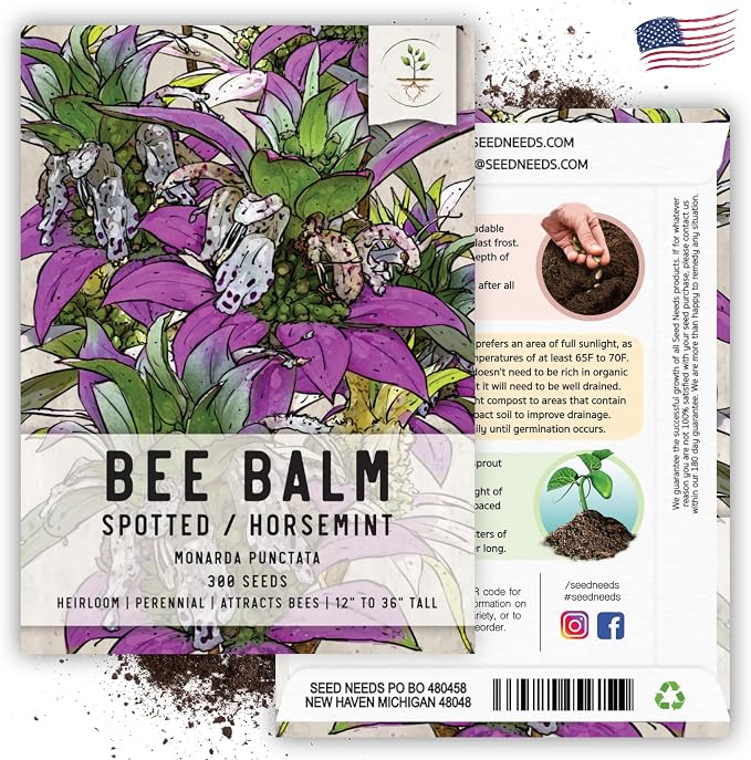 Seed Needs Spotted Bee Balm Seeds to Plant Horsemint Flowers/Herbs 2 Packs