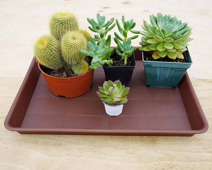 VUWEZ Rectangle Plant Tray, Plant Drip Tray, Plant Pot Saucers, Plant Germination Trays, Plant Saucers, 11'' x 9'' x 1.2'' (2 pack), Chocolate