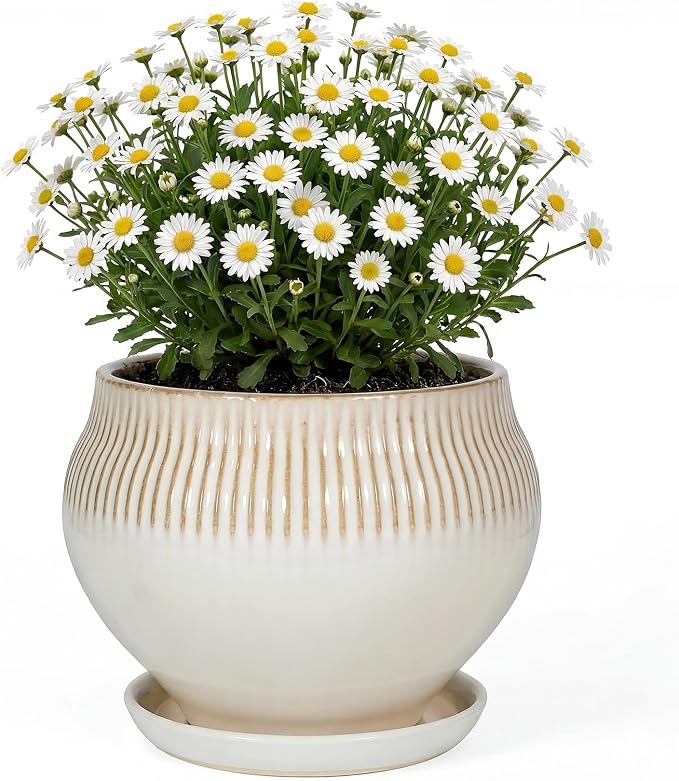 8.3 Inch Modern Ceramic Plant Pot with Drainage Hole and Mesh Net, Indoor Outdoor Planter with Saucer & Gardening Glove, Pots for Succulents, Flowers, Large Plants, White