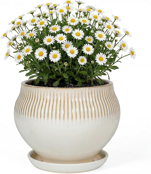 8.3 Inch Modern Ceramic Plant Pot with Drainage Hole and Mesh Net, Indoor Outdoor Planter with Saucer & Gardening Glove, Pots for Succulents, Flowers, Large Plants, White