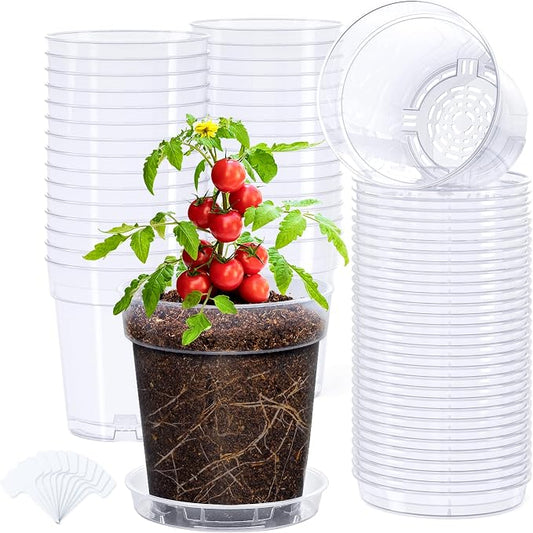 homenote 5 Inch Clear Nursery Pots 30 Pack with Drainage and Plant Saucers, Rigid High Transparency Plastic Nursery Pots for Plants,Thick Walled Planter Nursery Pots with Upgraded Drainage Holes