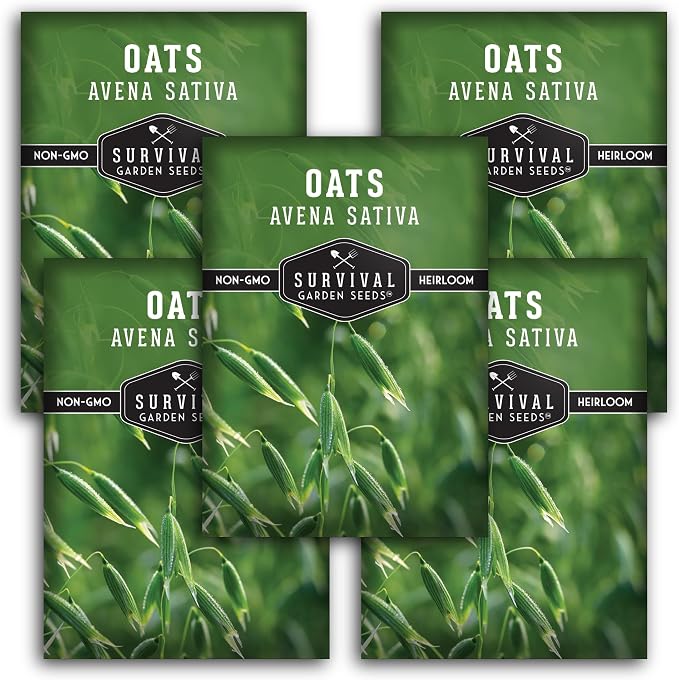 Oat Seeds for Planting – Heirloom Avena Sativa Milky Oats Medicinal Herb & Oatstraw for Tea, Tinctures, and Cover Crops – Heirloom Non-GMO Seeds – Survival Garden Seeds (5 Packs)