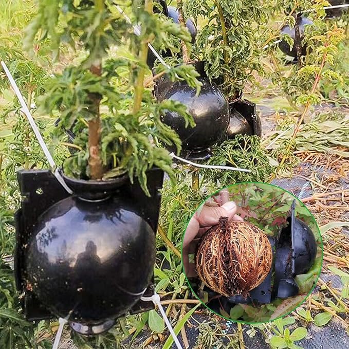 20 PCS Propagation Stations Air Layering Pods, Reusable Rapid Root Plugs Air Layering Propagation Kit Grafting Tool Take Root Box Plant Propagation Ball Tree Grafting Supplies Plant Root Growing Box