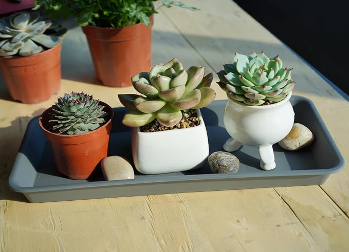 VUWEZ 2 Pack of Plastic Plant Tray Saucer Rectangular 14 inch, Plant Trays Saucers for Indoors Outdoor, Plant Water Drip Tray for Flower Pot Planter, Windowsill Plant Tray (6.8 X 14.5'', Gray)