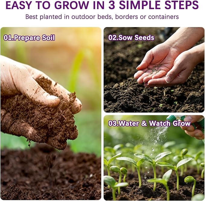 Wildflower Seeds Mix 1/2 lb, 19830+ Seeds Perennial& Annual 36 Varieties Flower Seeds for Planting，Non-GMO Heirloom Bulk Wild Flower Seeds for Indoor & Outdoors, FlowerSeed Packets for Home Garden