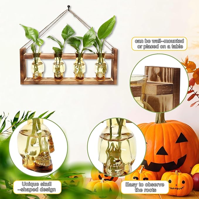 Plant Propagation Stations Halloween Skull Plant Terrarium Kit | Glass Vases Gift for Father Air Planter Home Office Decor