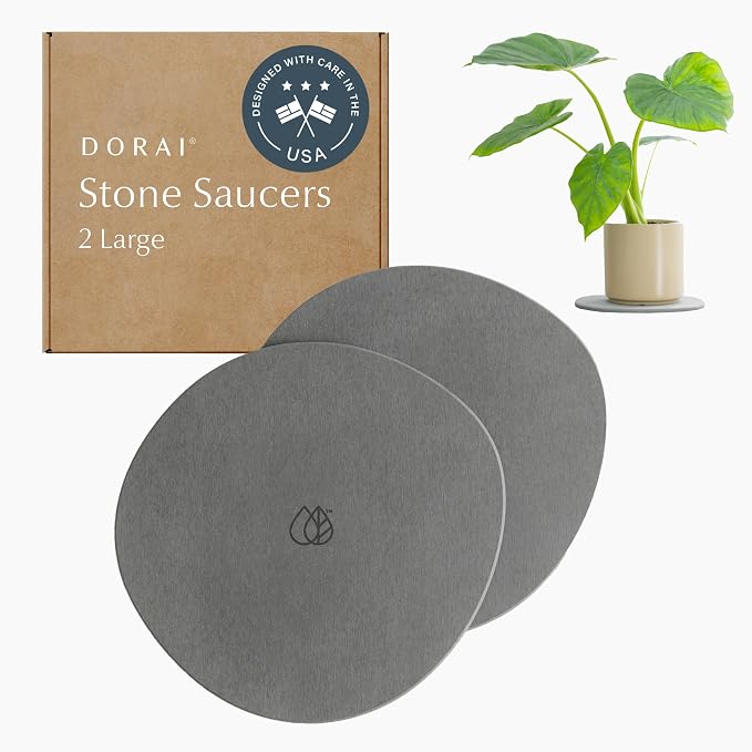 Dorai Home Stone Plant Pots Saucer Set 11.8" - Diatomite Water-Absorbing Trays for Indoor Plants, Ideal for Shelves & Floors | Pack of 2 Large