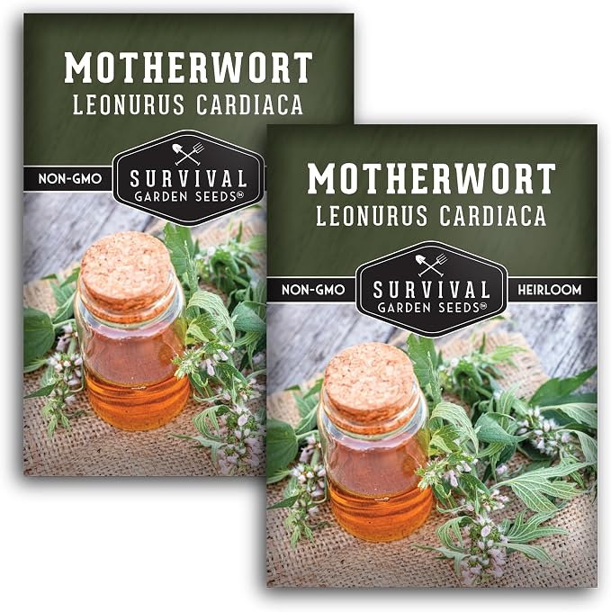 Motherwort Seeds for Planting - Leonurus Cardiaca - Heirloom Medicinal Herb for Apothecary Gardens and Pollinator Support - Survival Garden Seeds (2 Packs)