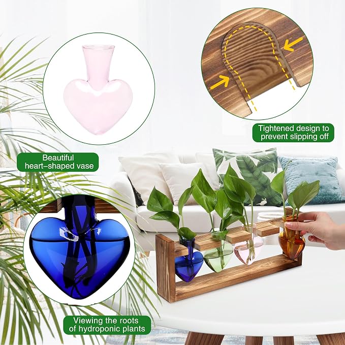 Plant Propagation Stations Heart Plant Terrarium Kit | Gift for Women Plant Lover Glass Vases