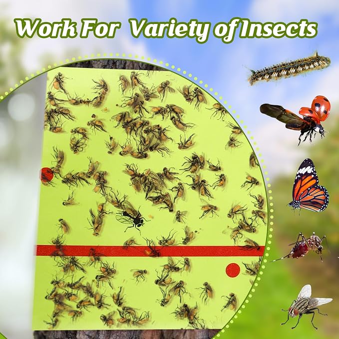 12 Rolls (30 Feet Each Roll) Spotted Lantern Fly Tree Trap Indoor Outdoor Fruit Fly Traps Disposable Paper Spotted Lantern Tree Tape Sticky Barrier for Protecting Trees(Green)