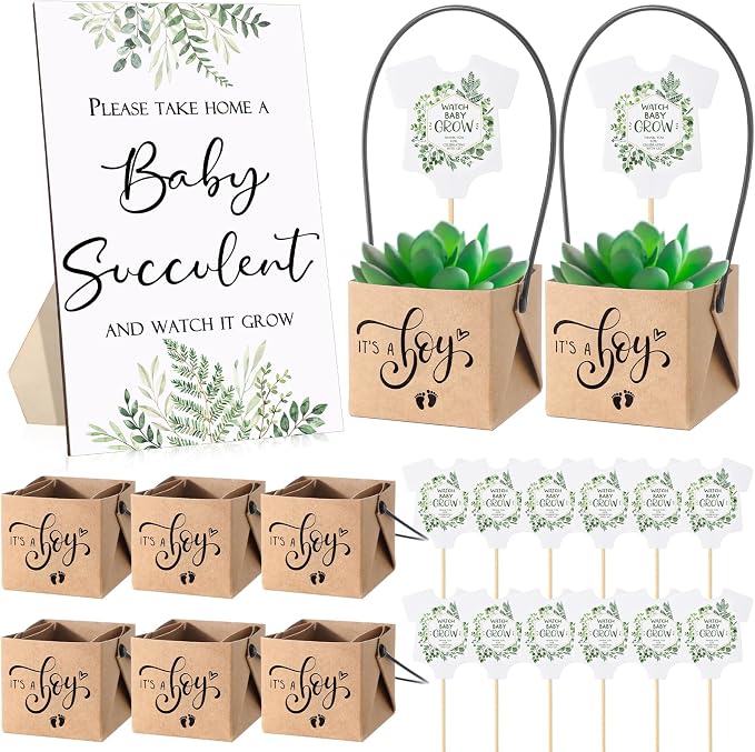 Geetery 101 Pcs Succulent Baby Shower Party Favor 1 Wooden Table Sign 50 Tags and 50 Kraft Succulent Pots for Guest Baby Shower Favors Gifts(Boy)