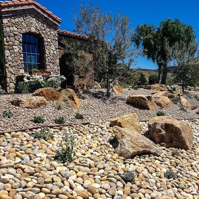 Mexican Beach Pebbles | 40 Pounds of Smooth Unpolished Stones | Hand-Picked, Premium Pebbles for Garden and Landscape Design | Buff, 2 Inch - 3 Inch